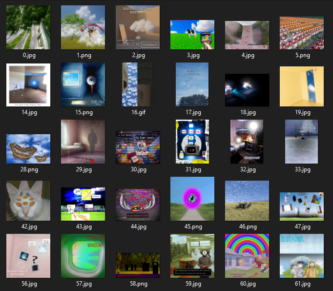 Main Project 1 Image